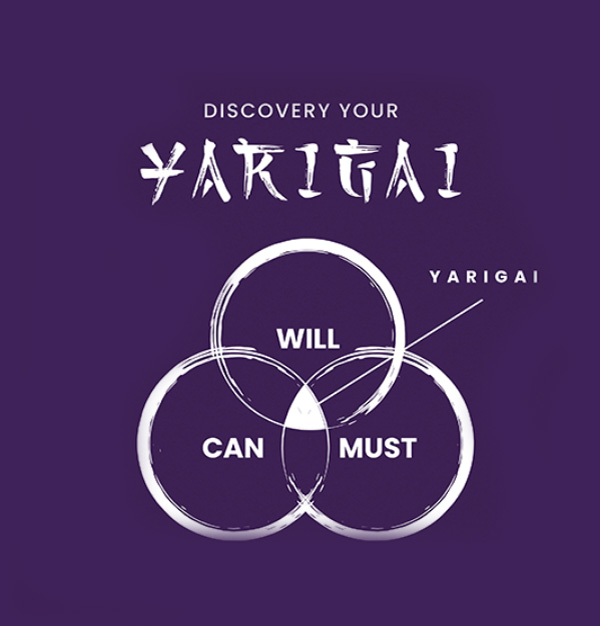 Discovery Your YARIGAI